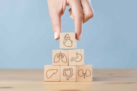 Hand arranging internal organ wooden blocks